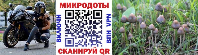 Псилоцибиновые грибы Magic Shrooms  закладка  Магадан 